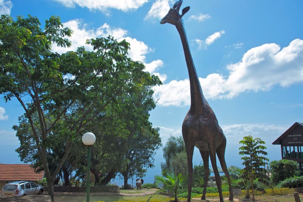 Kerio View Hotelの写真4