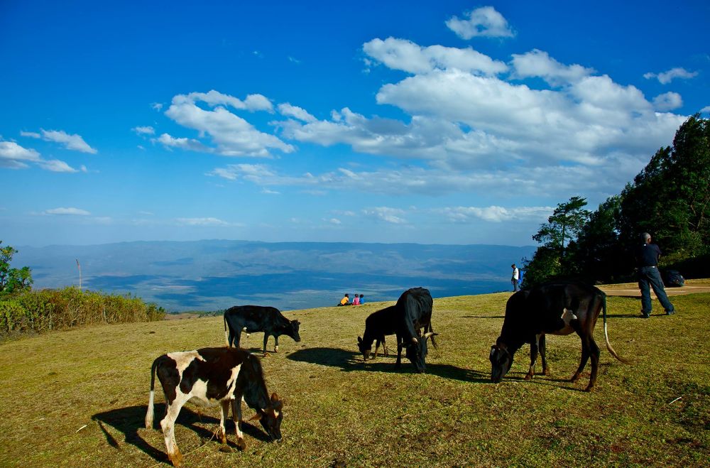 Kerio View Hotelの写真5