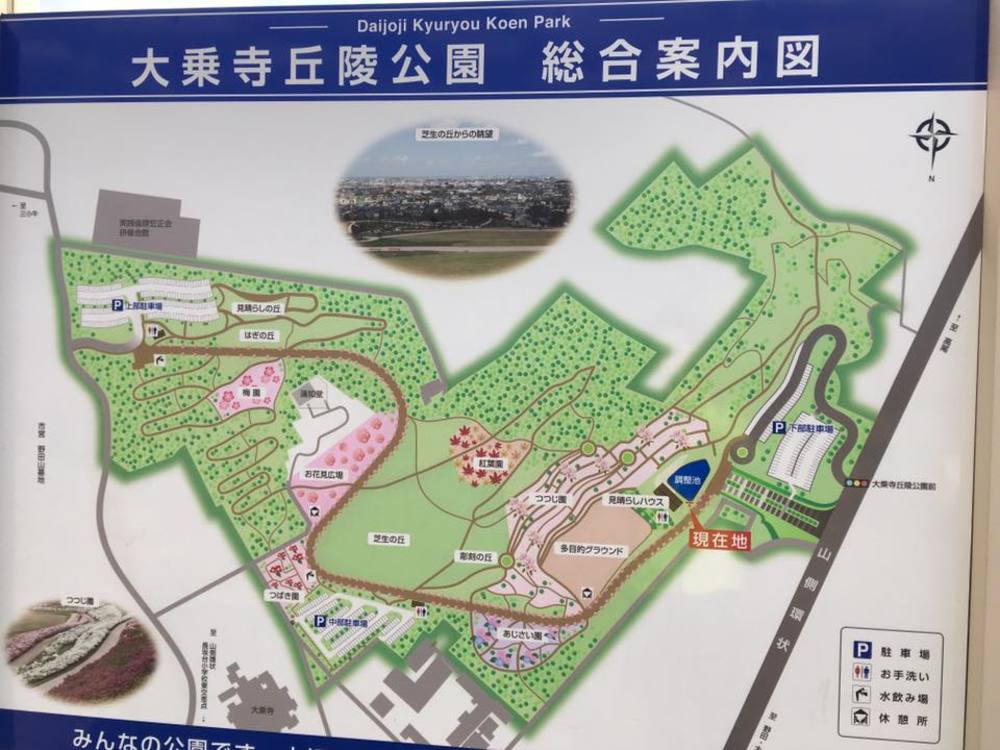 大乗寺丘陵公園の写真6