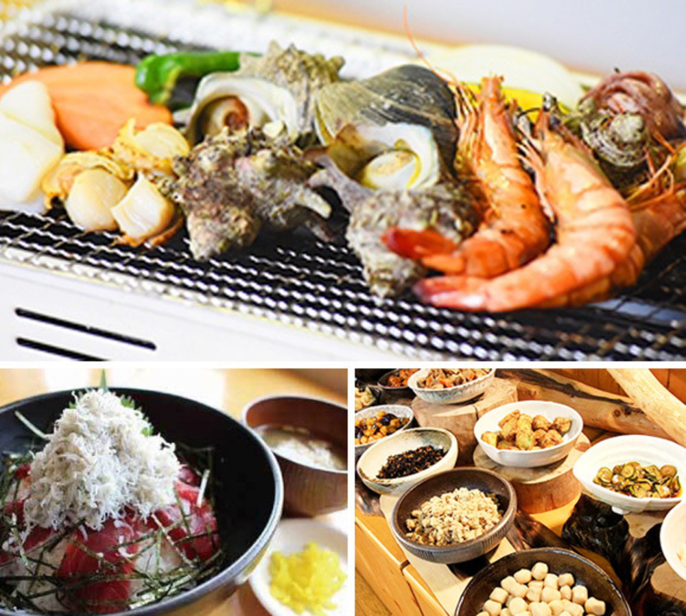 長井海の手公園「ソレイユの丘」の写真3