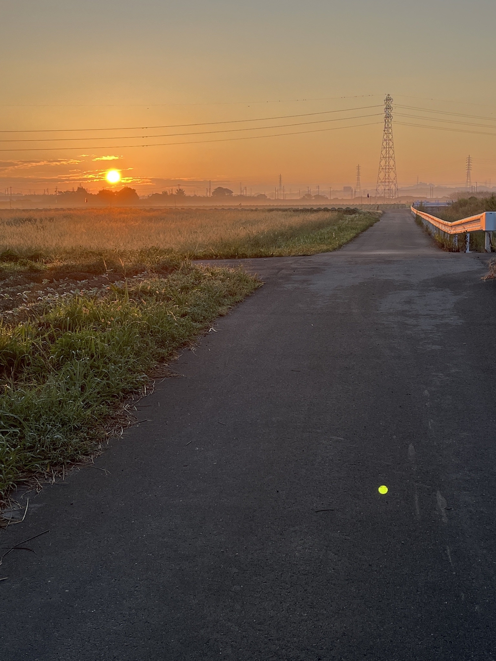 ぼちぼちのモーニングコース