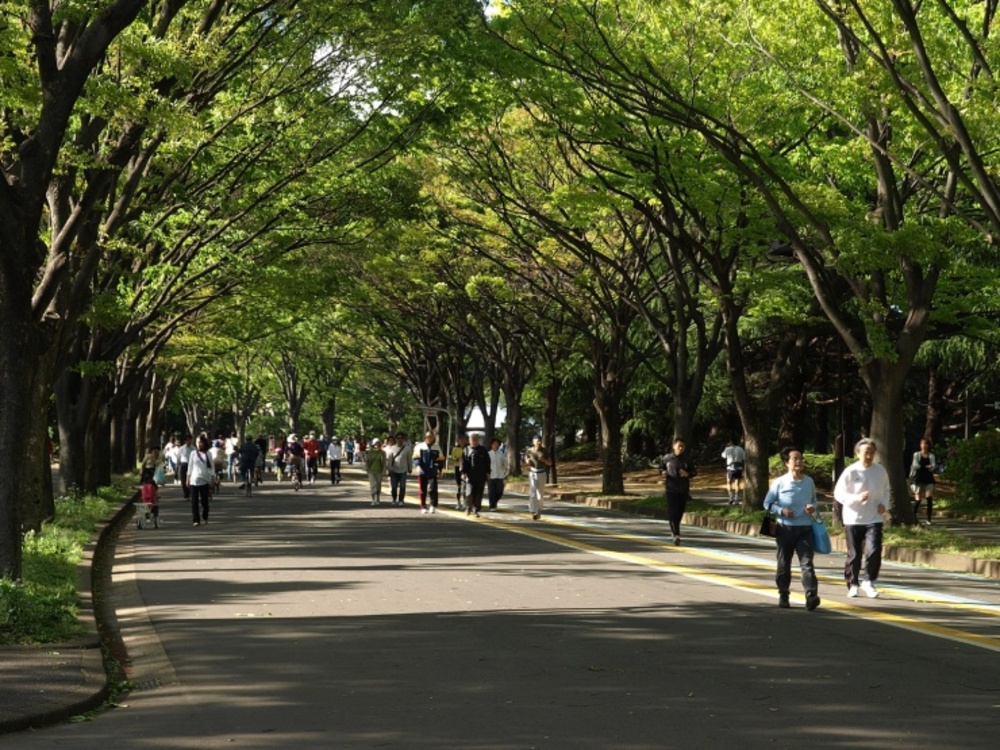 Jins Meme 駒沢公園テストコース ランニングコース丨ラントリップ Runtrip