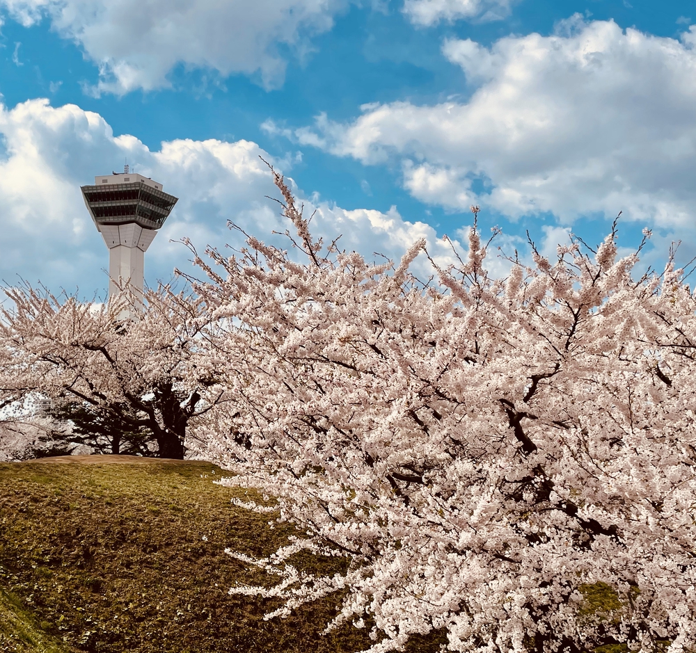 五稜郭公園1.8km