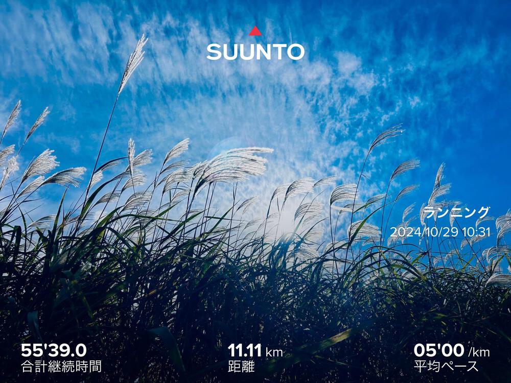 定番の田んぼコース