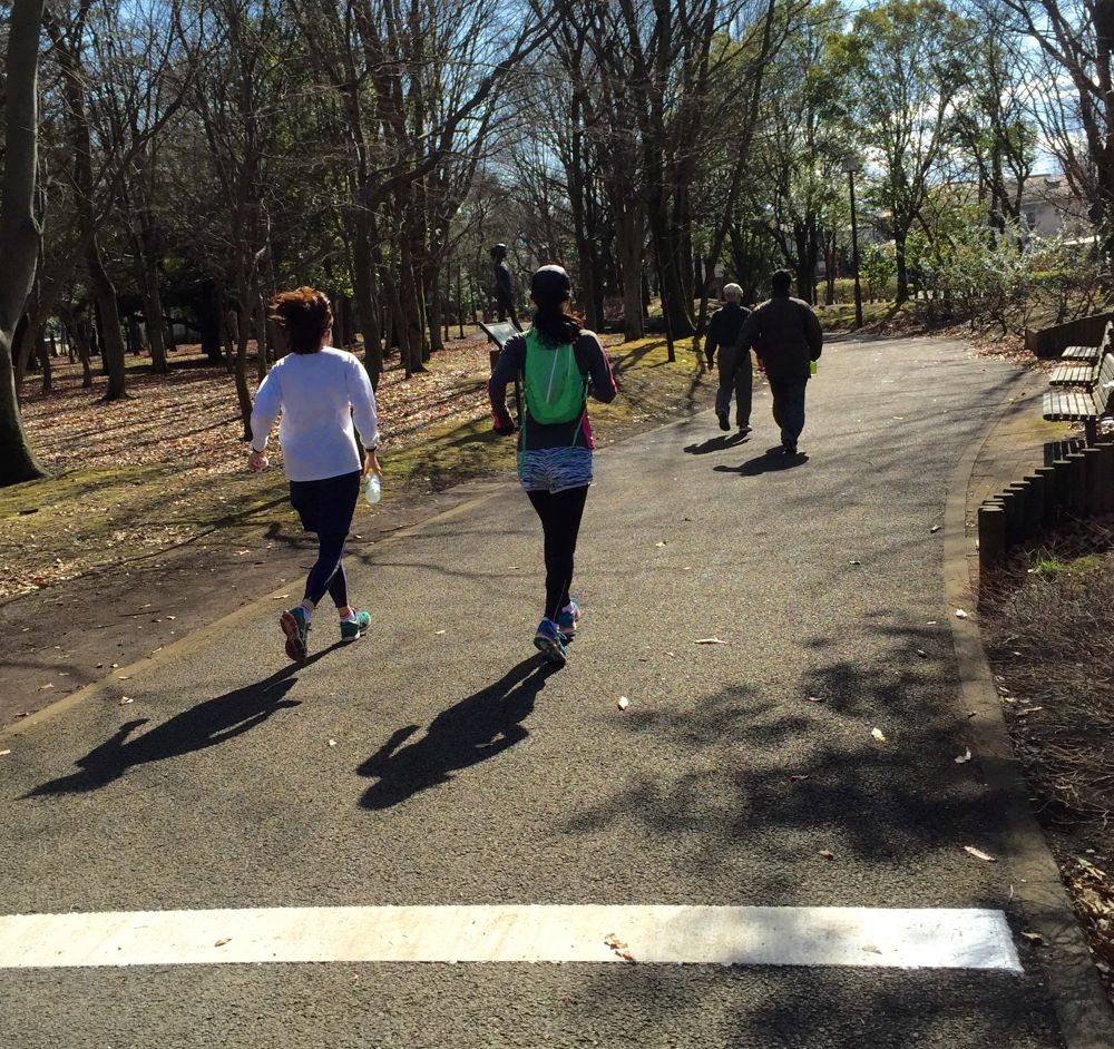 ほのぼの府中の森公園 ランニングコース丨ラントリップ Runtrip