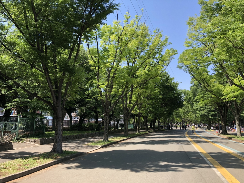 駒沢公園 早朝爽快ラン ランニングコース丨ラントリップ Runtrip