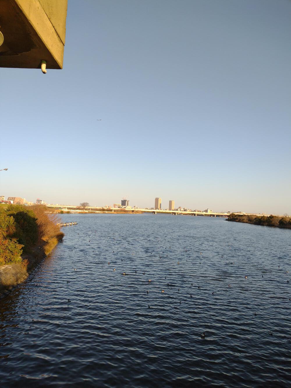 今井橋〜篠崎水門一周プラス調整