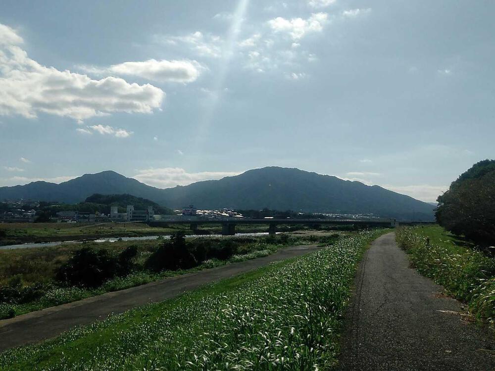 大分川左岸　河口～賀来橋