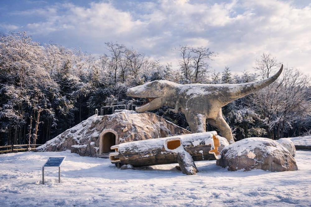 信玄堤リバーサイドコース