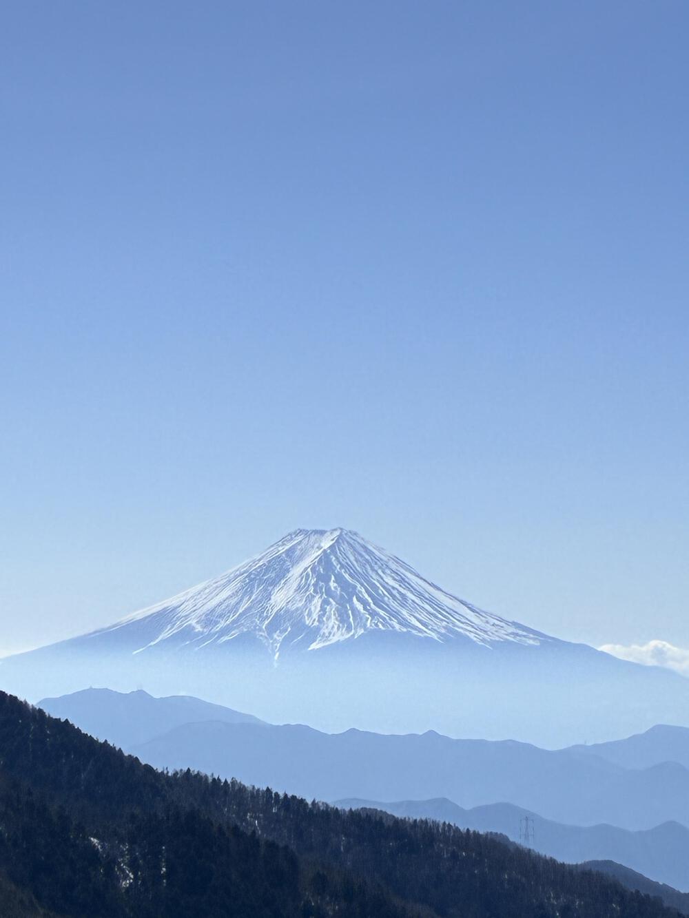 小菅村から大菩薩峠 広葉樹の歩きやすいトレイル