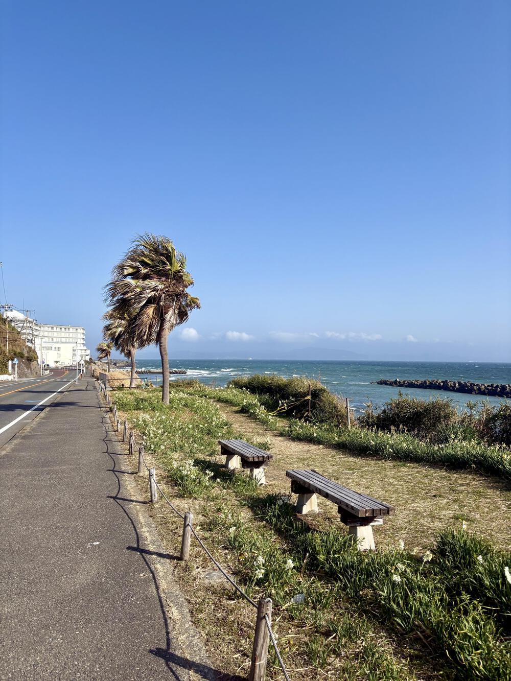 三浦海岸～久里浜