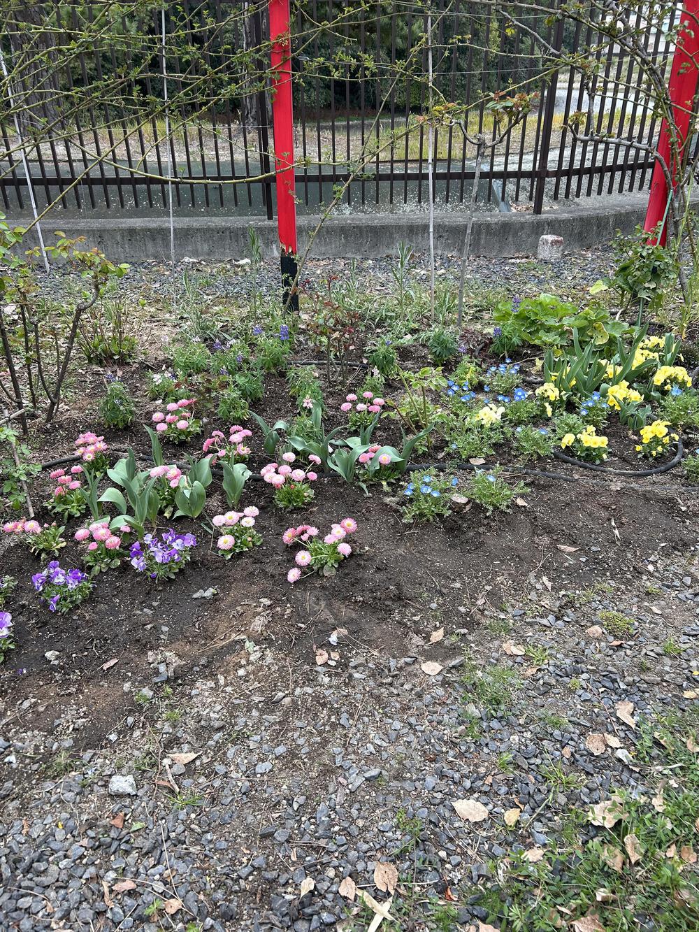 曇り空、走りやすい気候でした🎵