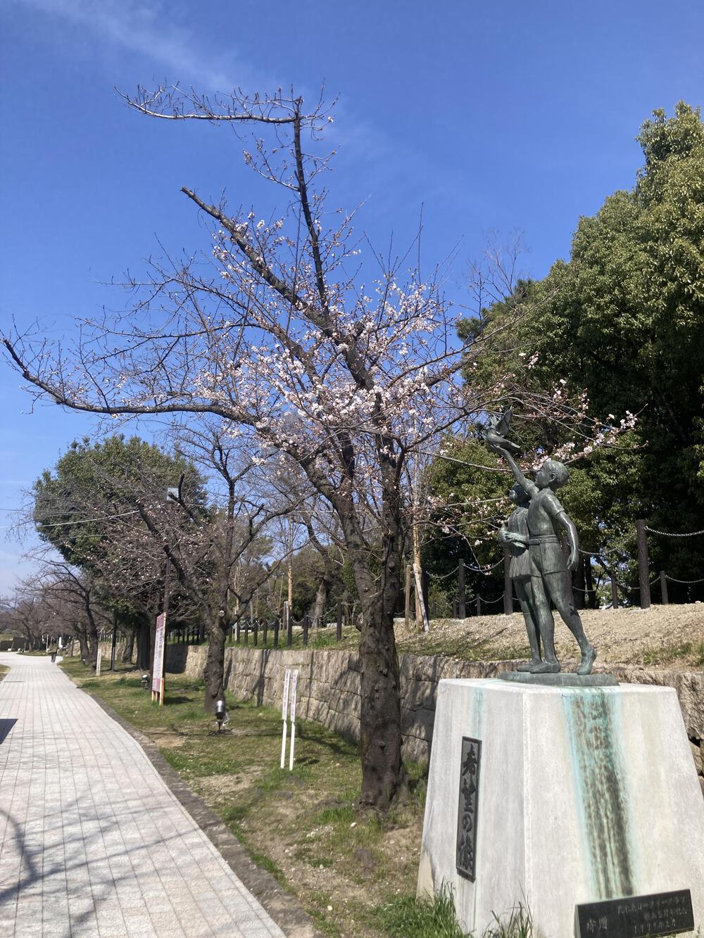 北摂ビックループ13キロ