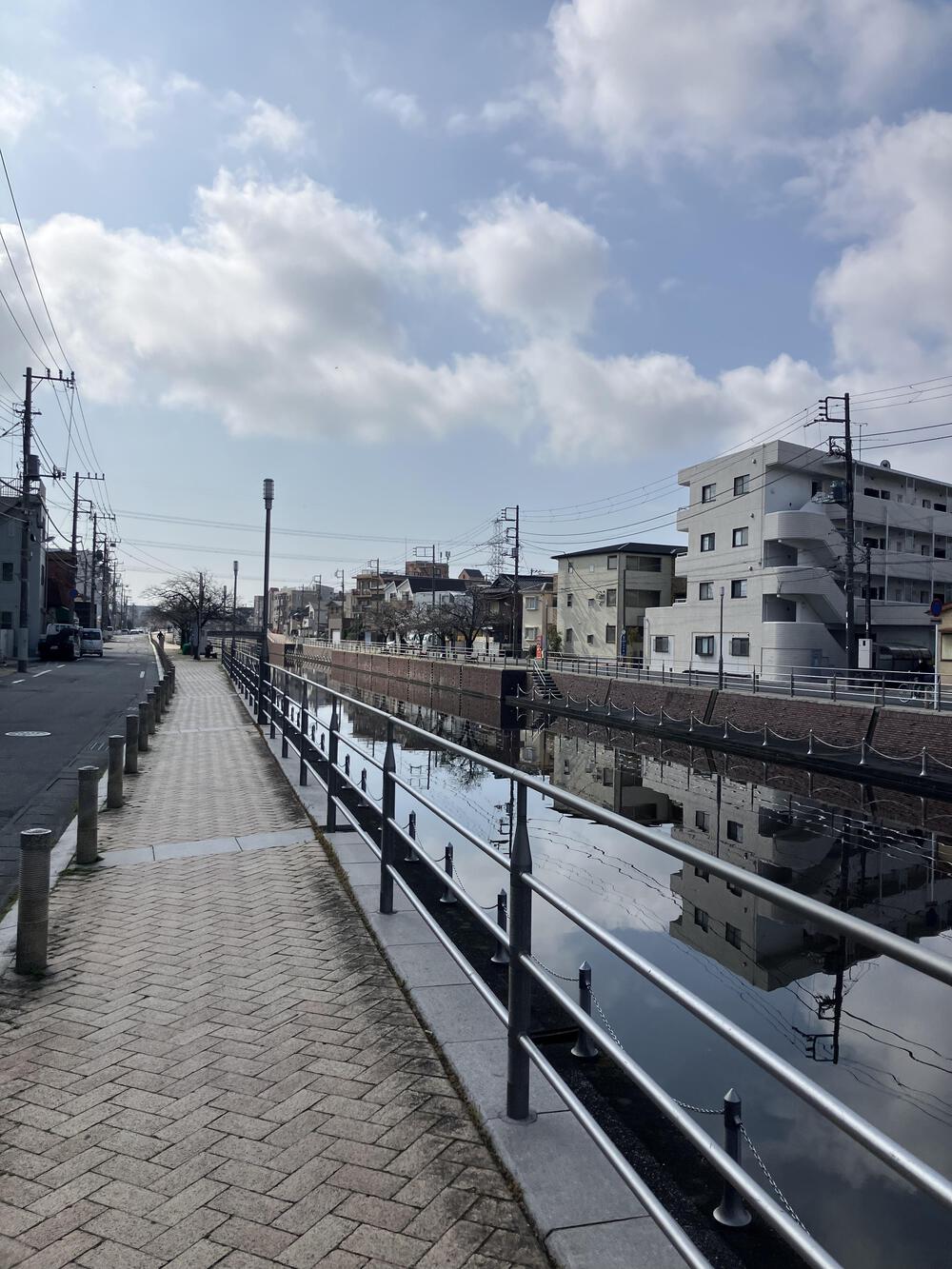 浦安駅からＤパーク境川花見ラン5キロ
