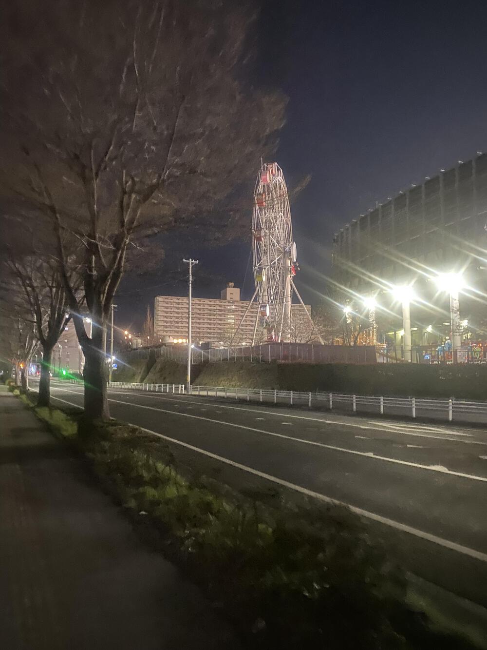 少し車通りは多いですが、平坦で走りやすい