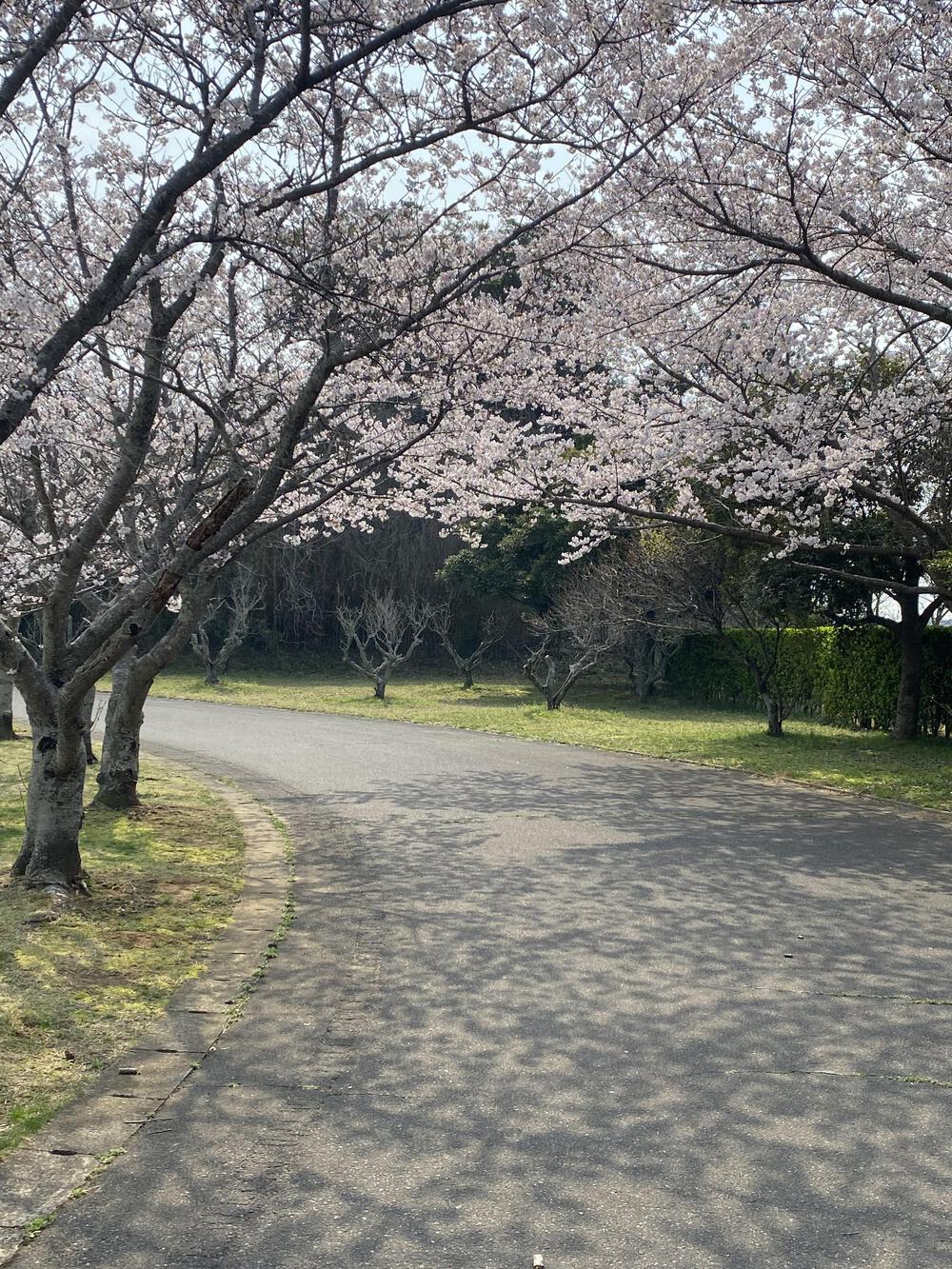 一周1.5kmの幅の広いコース+利根川土手