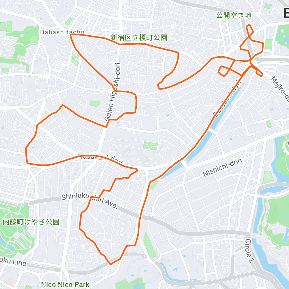 飯田橋ハトのGPSアート（17km）