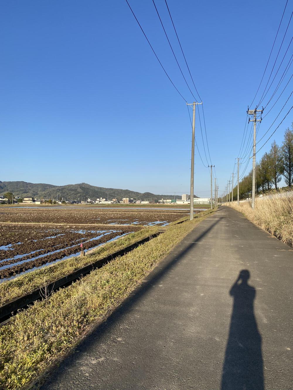 田植え前　いい時期になりました