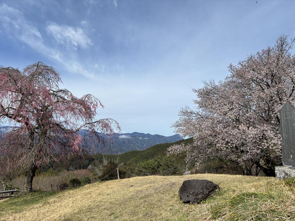越生　周遊トレイル