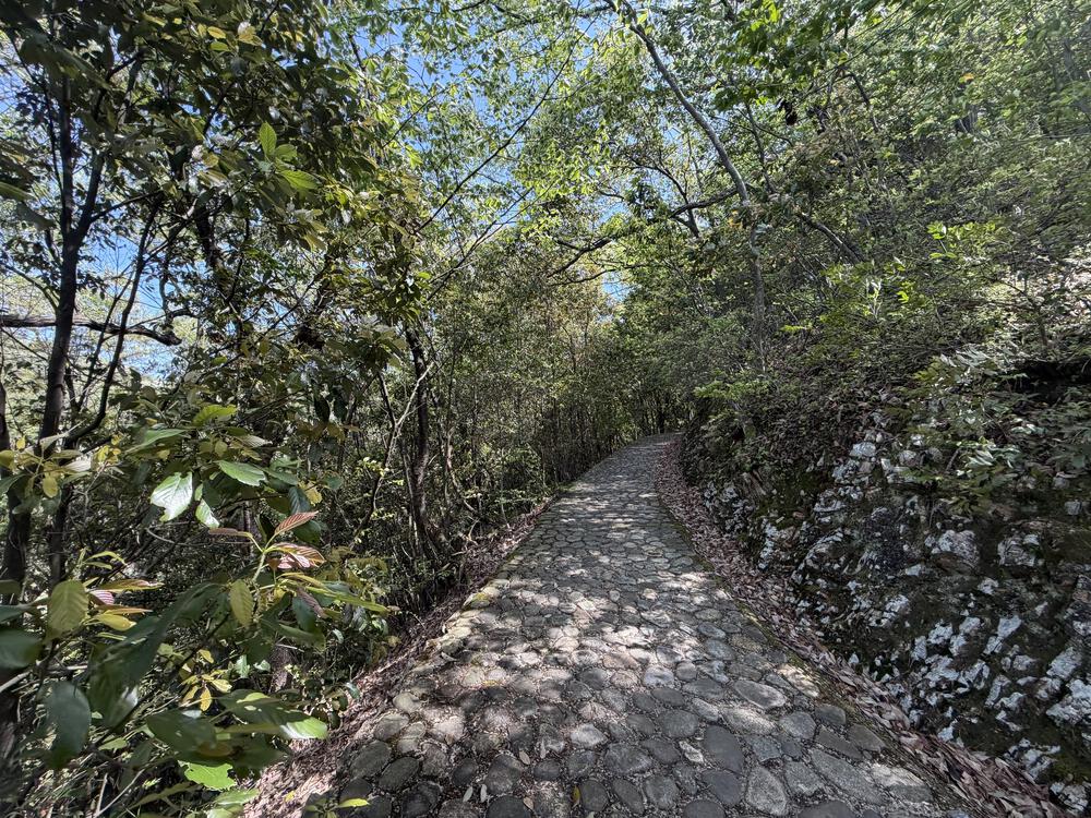 金華山ドライブウェイ