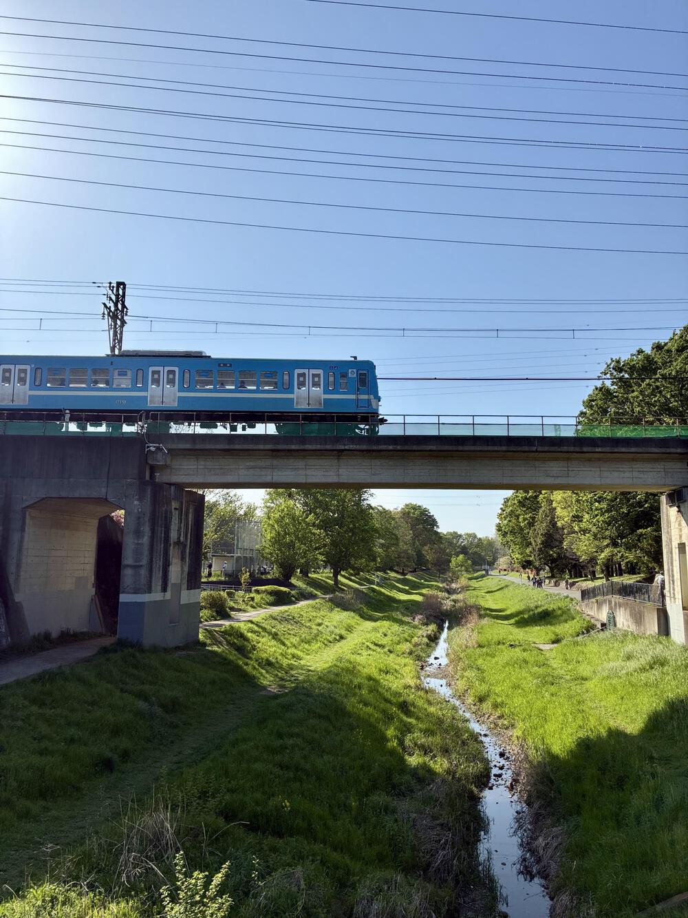 野川公園&武蔵野公園 贅沢横断周回コース 5.75km