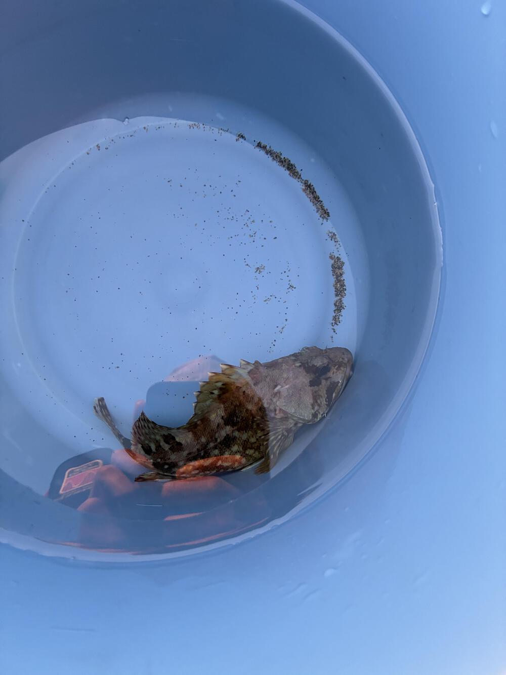 魚を釣ってからのラン。海を眺めながらで良いです