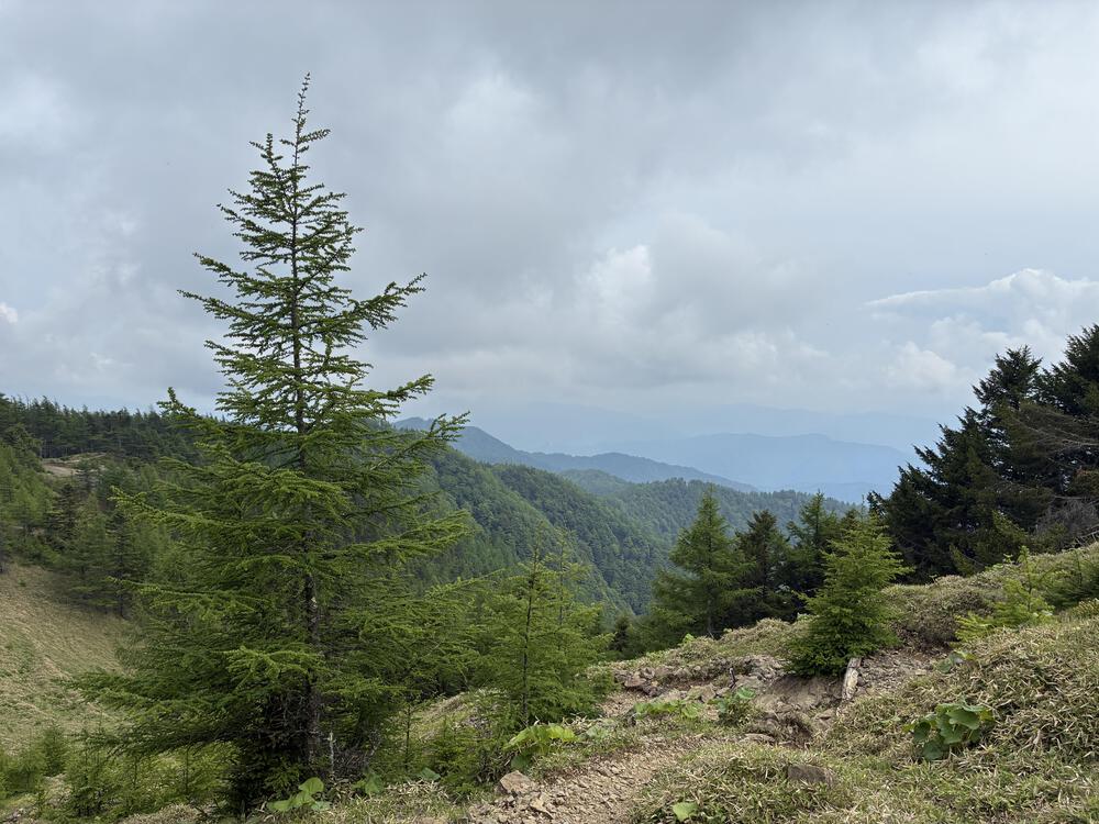 雲取山縦走ー