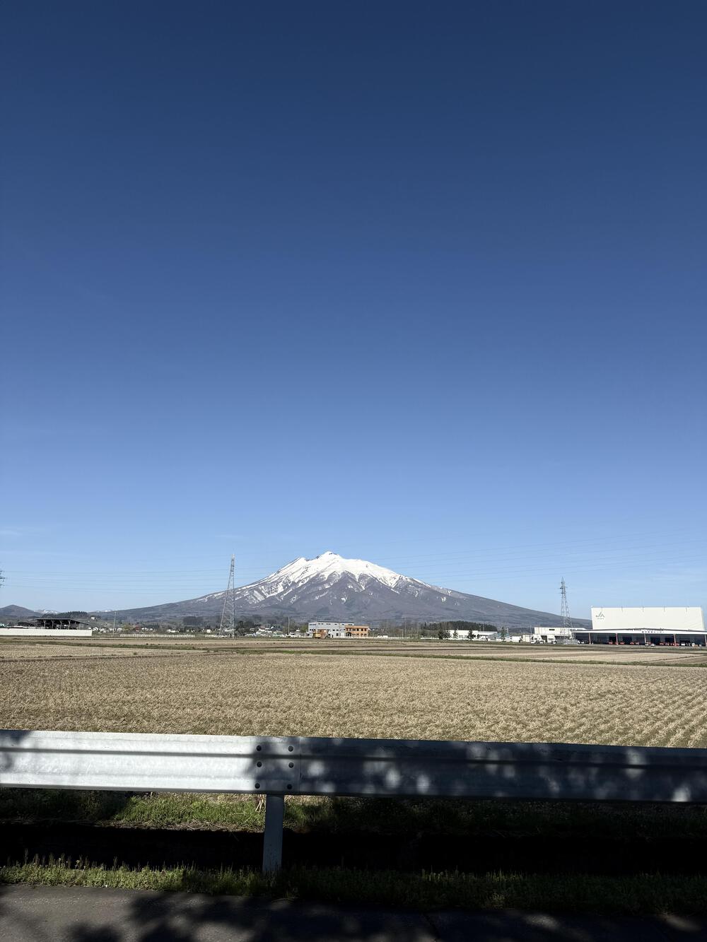 久しぶりに