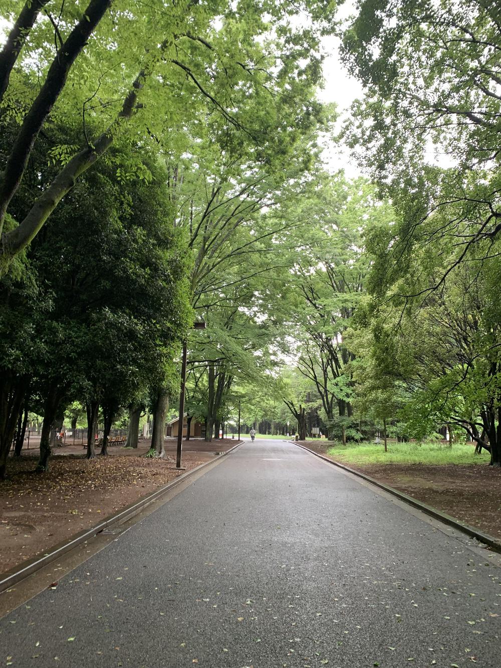 雨の代々木公園、ちょっと行ってみたいかも！