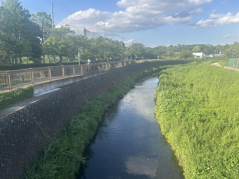 市川市真間川沿いラン