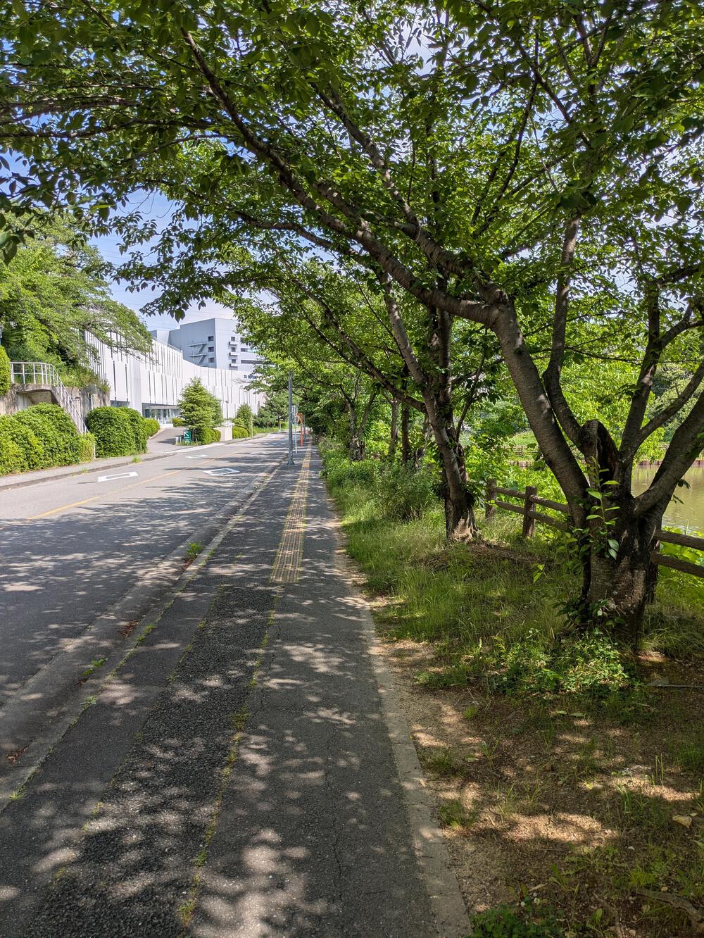 【北摂の緑を大満喫！】箕面温泉水春発着・阪大キャンパス＆万博外周を巡る爽快10kmコース