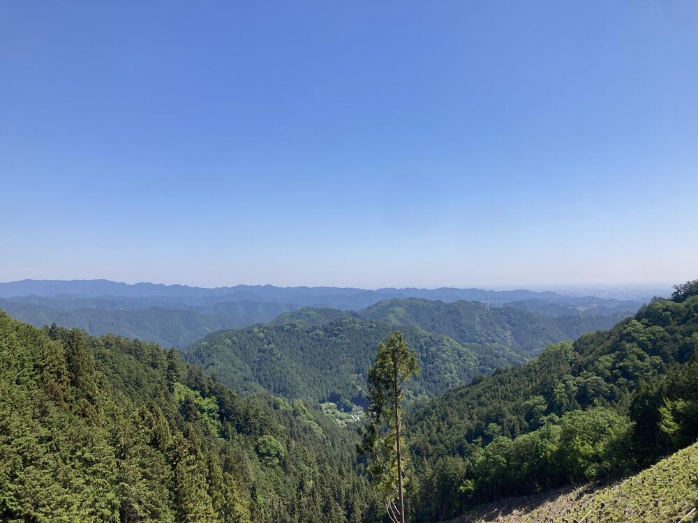 青梅丘陵トレラン27km