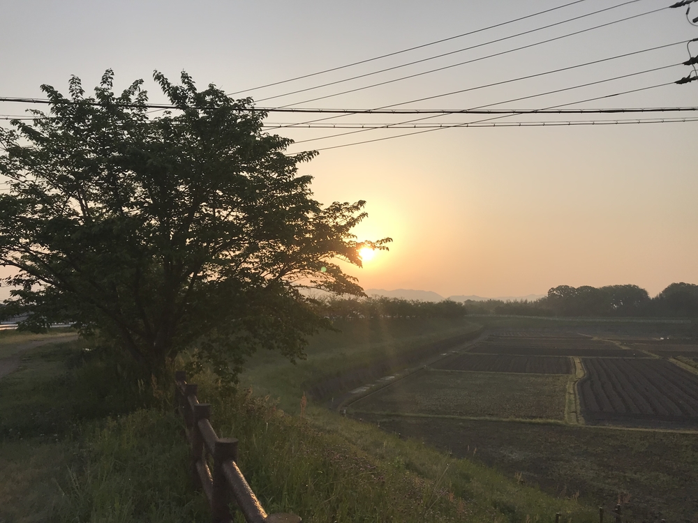 早朝木津川ラン