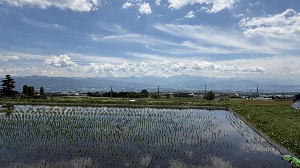 最近は上り坂を走るのが好きになりましすん！
