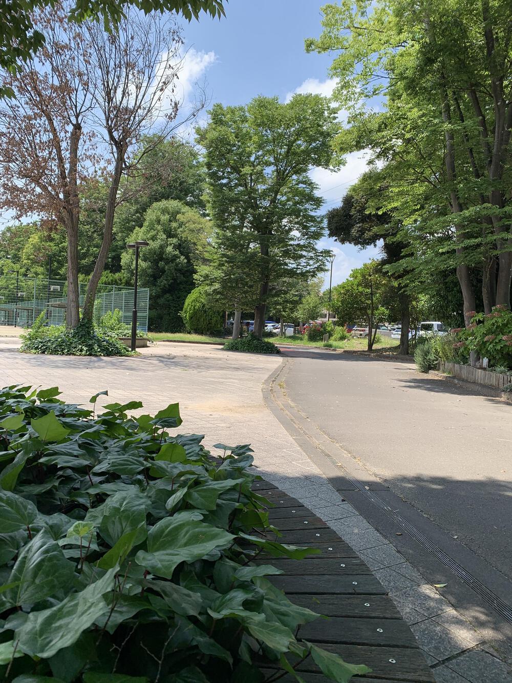 自然の中を走るのは気持ちいい！