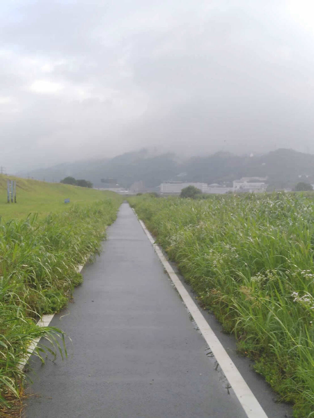 LSDにもペース走にも最適な石川河川敷（富田林～柏原市役所往復）