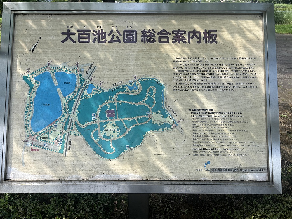 大百池公園ぐるっと周回コース