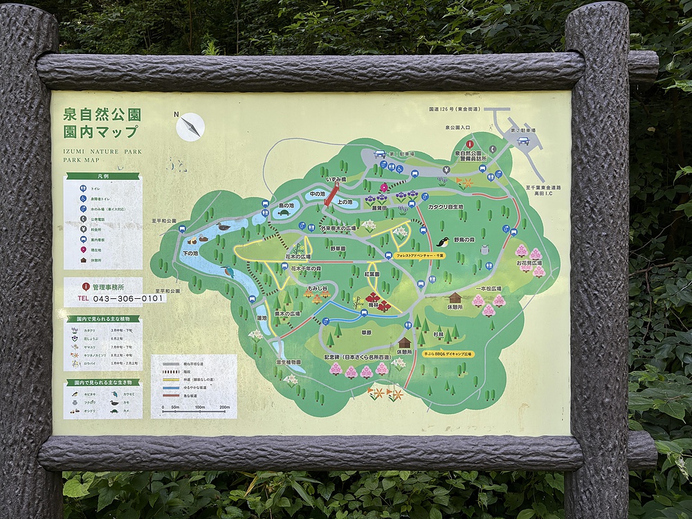ぐるっと泉自然公園周回コース