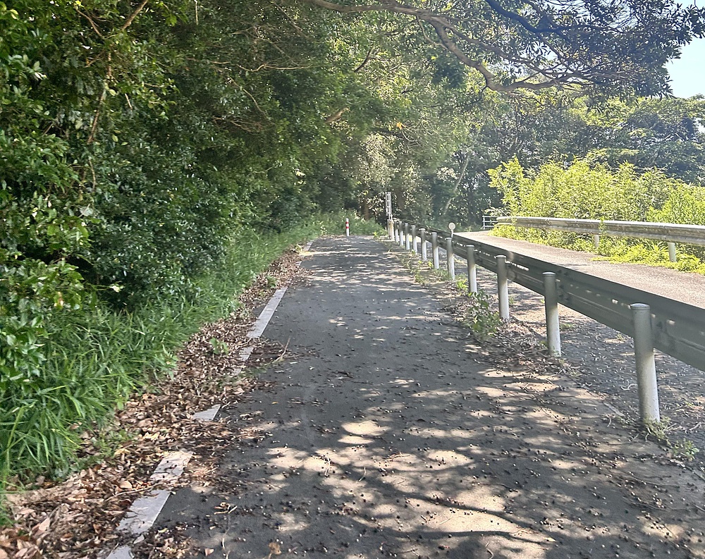 暑い夏の昼間でも走れます
