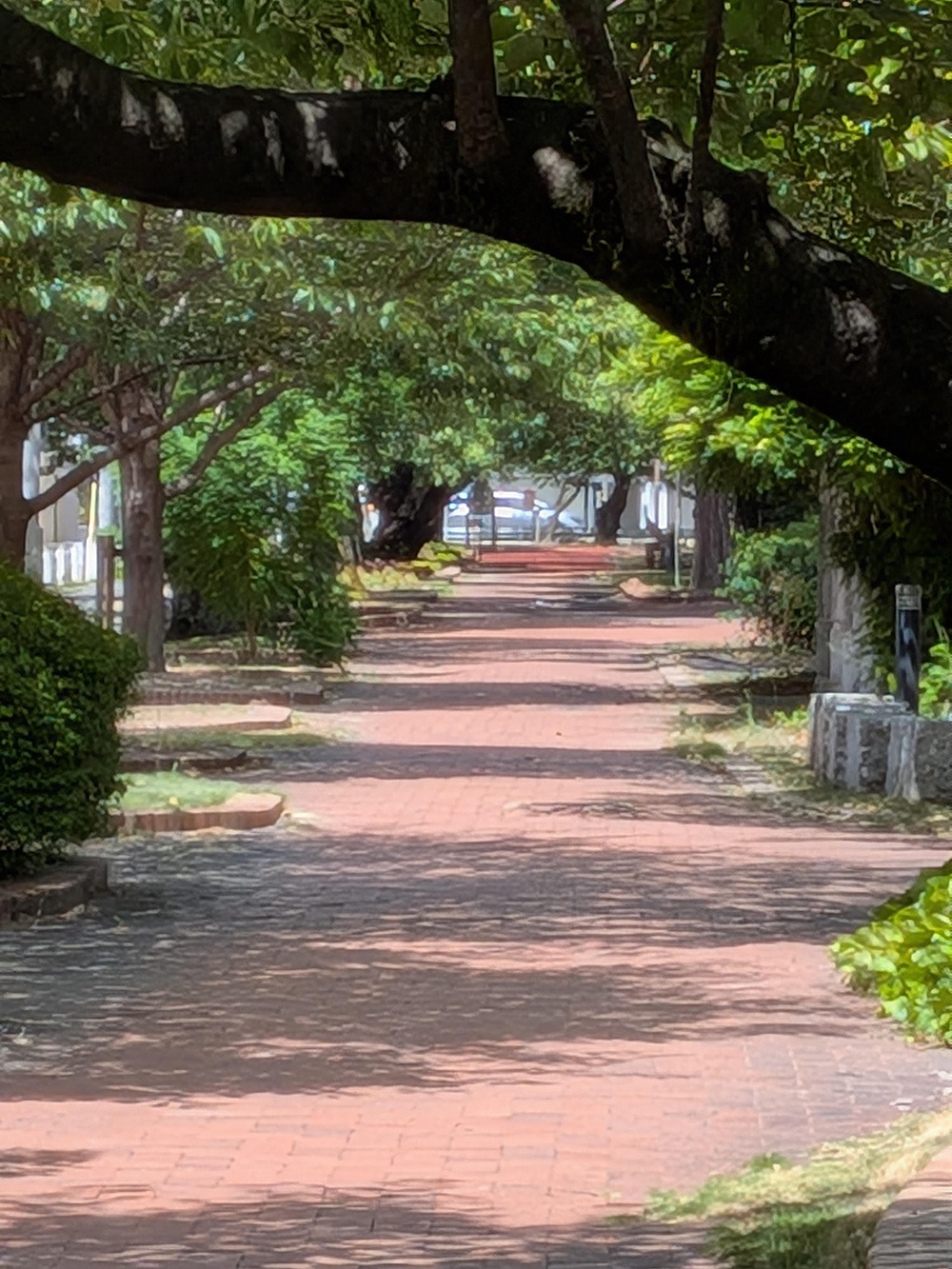 博多駅〜山王公園〜ガンダム