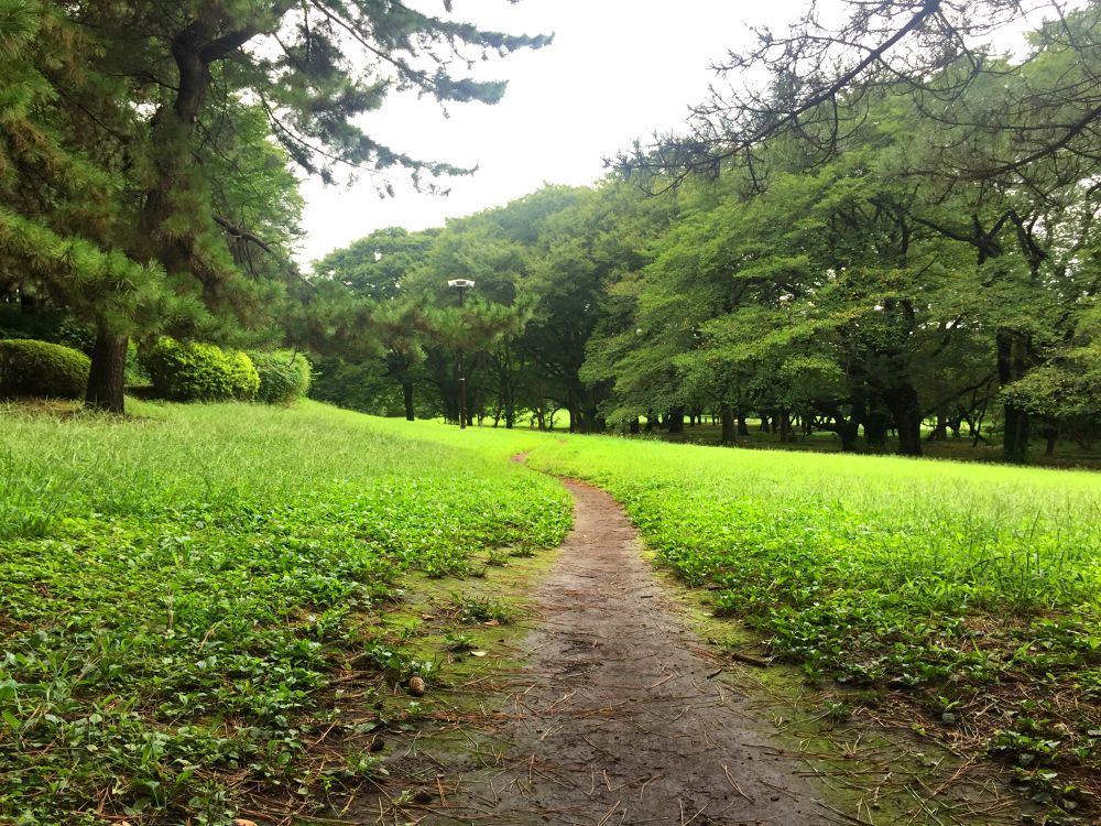 歴史を感じるランナーの道 砧公園クロカンコース ランニングコース丨ラントリップ Runtrip