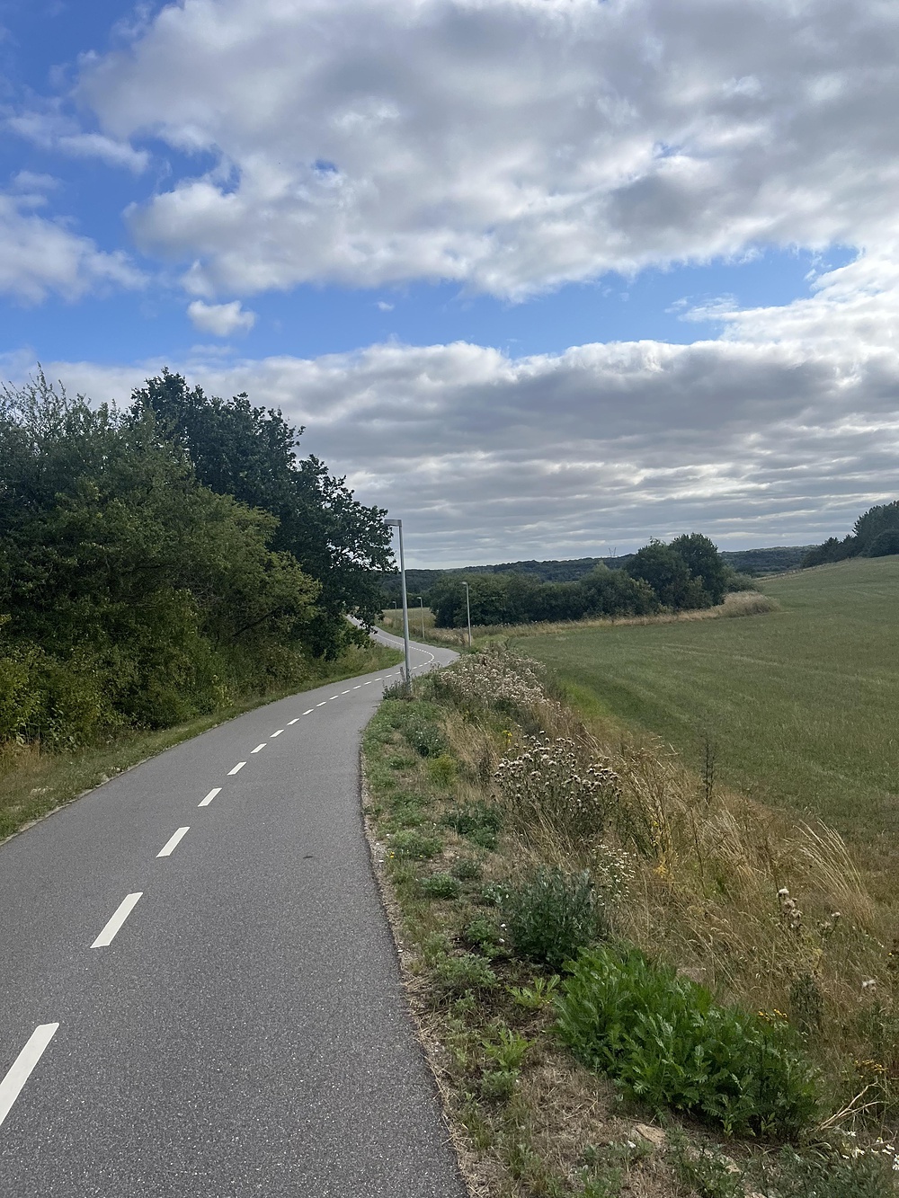 Horsens 15km