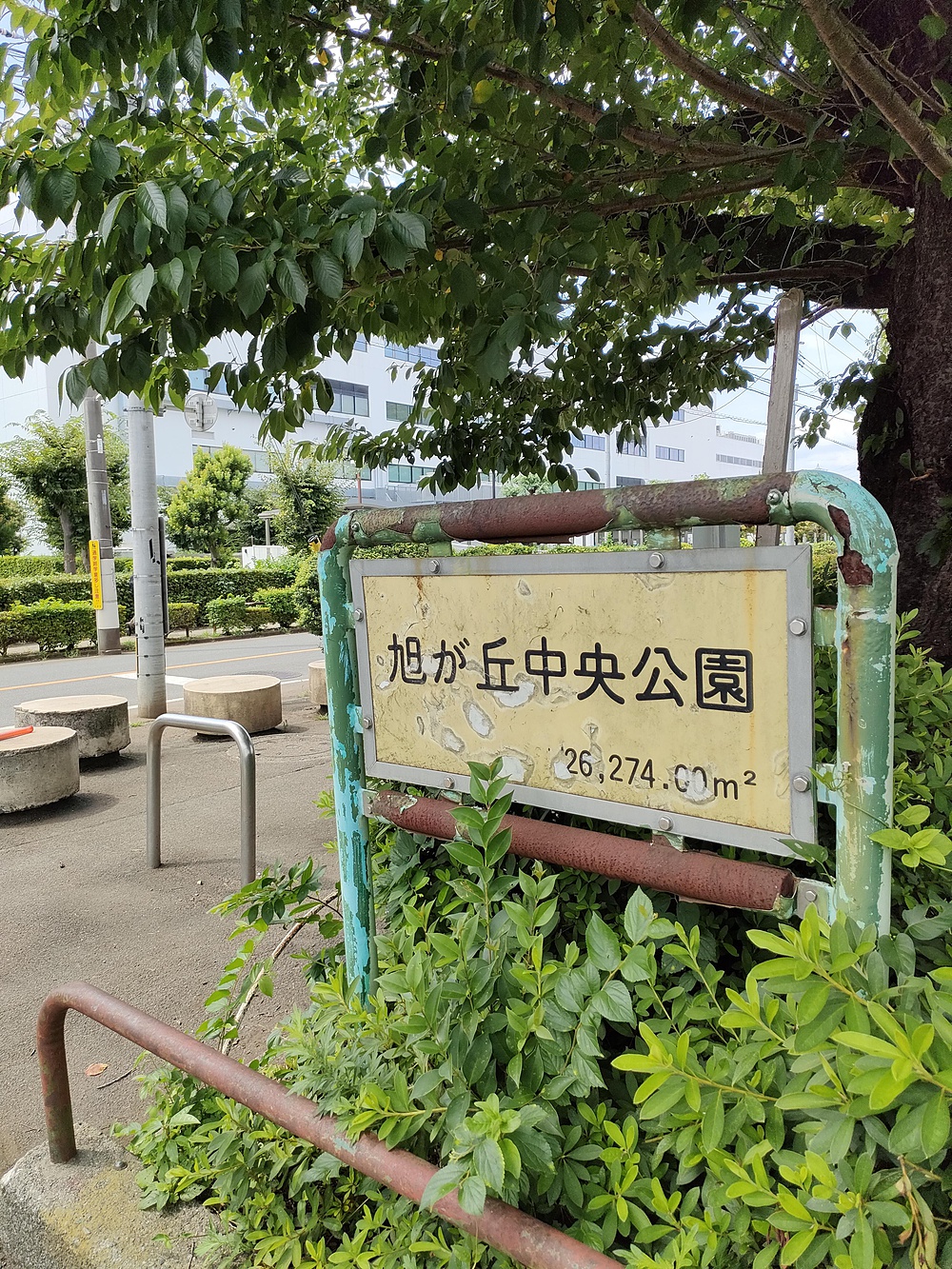 旭ヶ丘中央公園、日野市