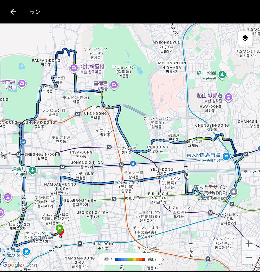 ソウル観光ジョグ：明洞から景福宮・北村・東大門を巡る約11.5km
