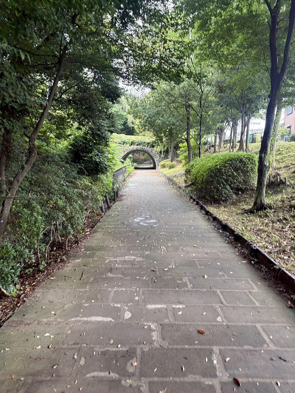 短い距離のセンター北，南駅周辺のPark & Road