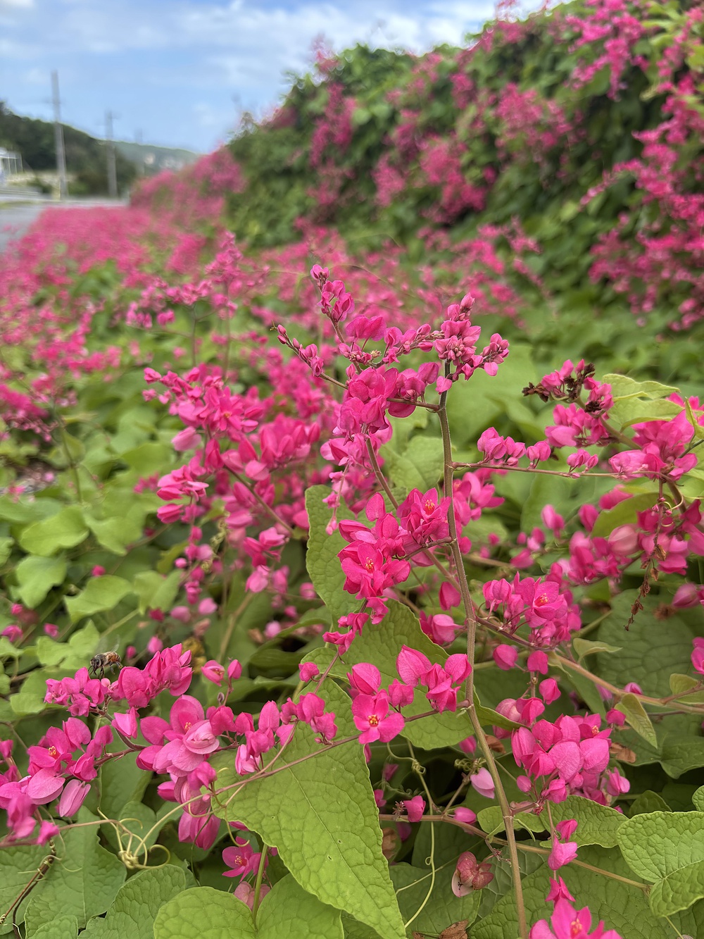 宮古島海岸線