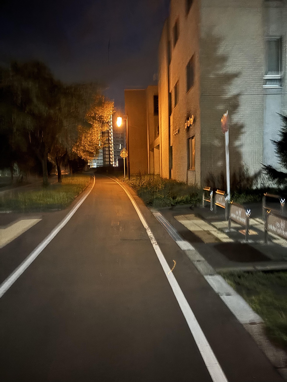 #VRWC サイクリングロードにて