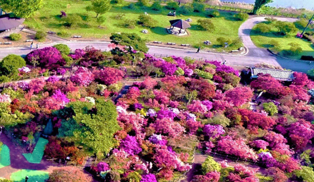 つつじが岡公園