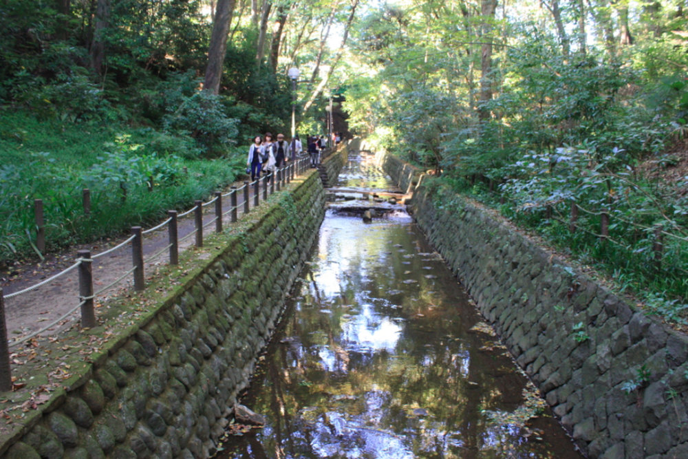 等々力渓谷でリラックスラン ランニングコース丨ラントリップ Runtrip