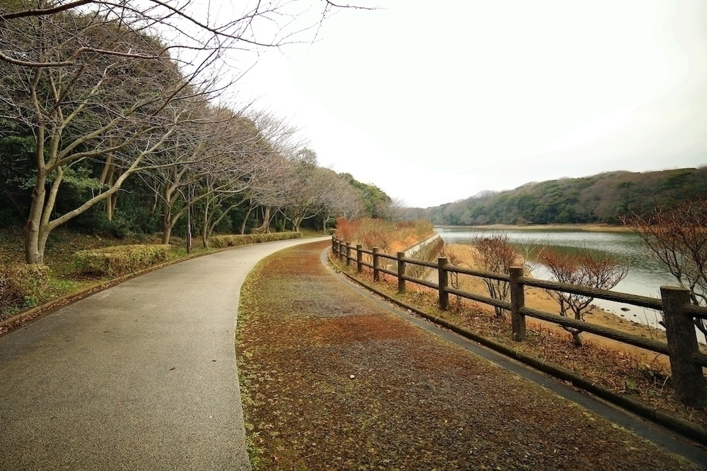 ときわ公園周回コースでアートと自然を感じる